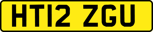 HT12ZGU