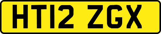 HT12ZGX