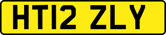HT12ZLY