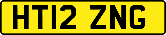 HT12ZNG