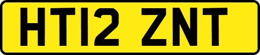 HT12ZNT