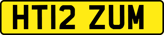 HT12ZUM