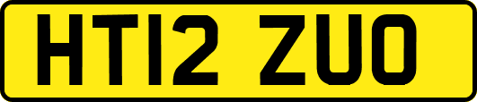 HT12ZUO