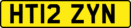 HT12ZYN