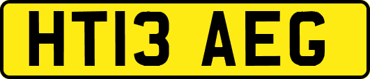 HT13AEG