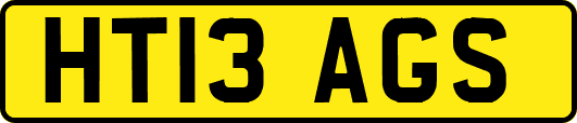HT13AGS