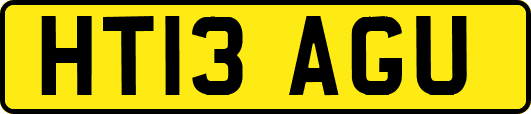 HT13AGU
