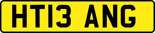 HT13ANG