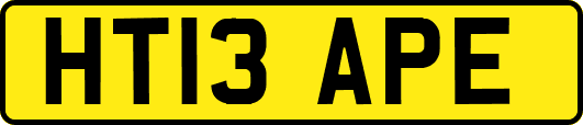 HT13APE