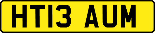HT13AUM
