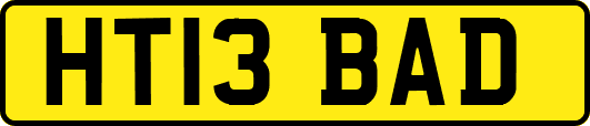 HT13BAD