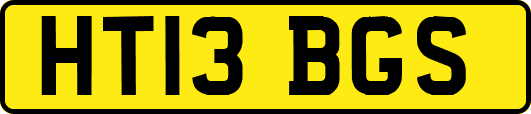 HT13BGS