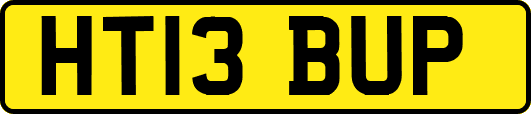 HT13BUP