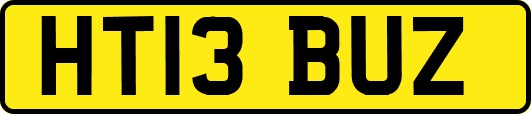 HT13BUZ