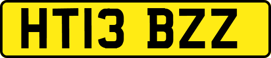 HT13BZZ