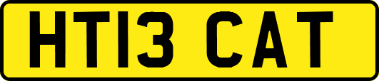 HT13CAT