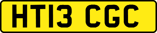 HT13CGC