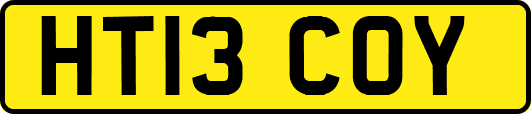 HT13COY
