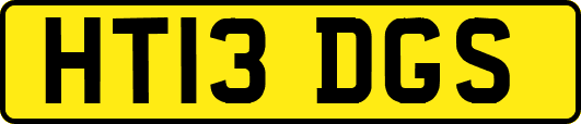 HT13DGS