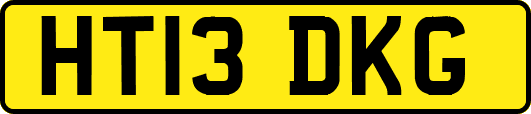 HT13DKG