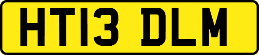 HT13DLM