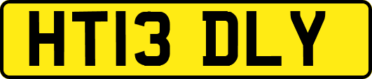 HT13DLY