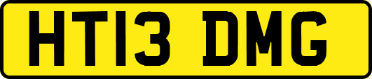 HT13DMG