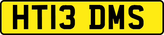 HT13DMS