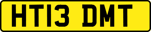 HT13DMT