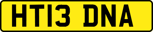 HT13DNA