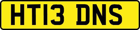 HT13DNS