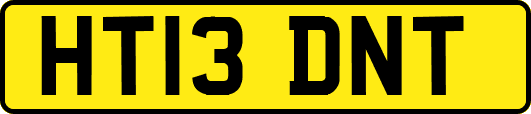 HT13DNT