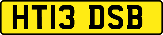 HT13DSB