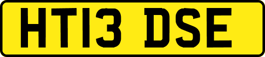 HT13DSE