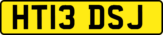 HT13DSJ