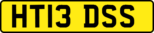 HT13DSS