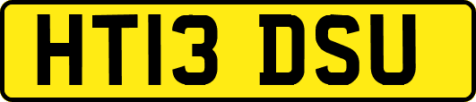 HT13DSU
