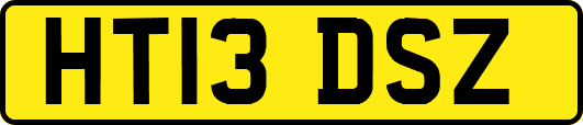 HT13DSZ