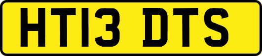 HT13DTS