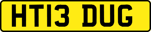 HT13DUG