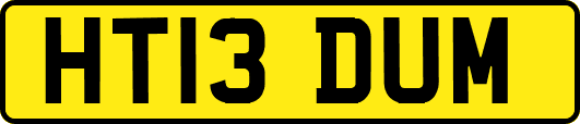 HT13DUM