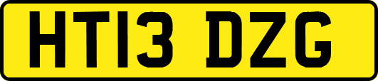 HT13DZG