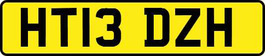HT13DZH