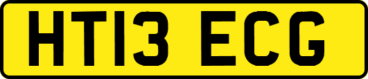 HT13ECG