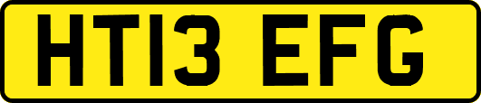 HT13EFG