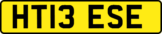 HT13ESE