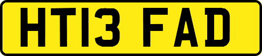 HT13FAD