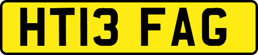 HT13FAG