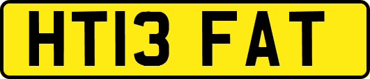 HT13FAT