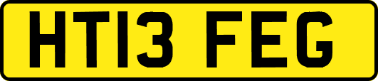 HT13FEG